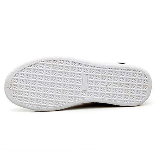 Fexkean Homme Femme Baskets Mode Classics Lacet Sneakers Basses Fitness Sport Chaussures de Gymnastique