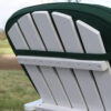 Plant Theatre Adirondack Coussin pour chaises et fauteuils de Jardin avec Oreiller