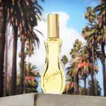 Giorgio Beverly Hills, Coffret Cadeau, 2 pièces, Eau de Toilette pour Femme et Lait pour le Corps, Senteur Florale 21 Giorgio Beverly Hills, Coffret Cadeau, 2 pièces, Eau de Toilette pour Femme et Lait pour le Corps, Senteur Florale 21