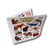 Lot de 4 Petits Livres d'éveil éducatifs en tissu imagier photo gamme "Petit Essentiel", thème Animaux, Transports, Repas, Couleurs